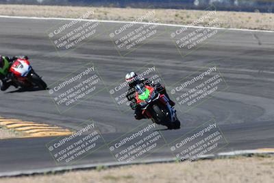 media/Apr-14-2024-SoCal Trackdays (Sun) [[70f97d3d4f]]/5-Bowl Exit (1020am)/